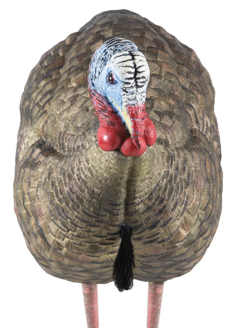 Avian X LCD Half-Strut Jake Turkey Decoy