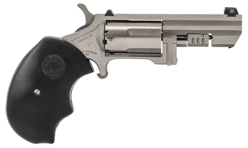 NAA Recluse 22 Magnum 2.00 In 5 rd XS Dot Stainless/Black