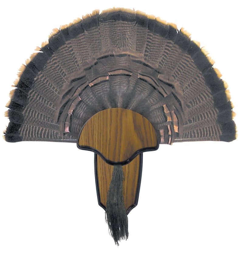 HS Precision Turkey Tail and Beard Mounting Kit Wood HS-00849