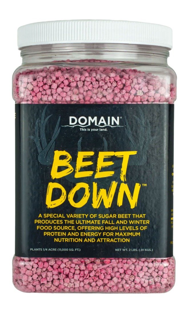 Domain Beet Down Seed BDFP2 2 lb Coated 1/4 Acre High-Yield