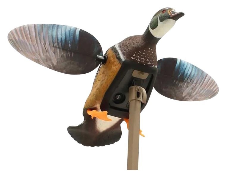 Mojo Outdoors HW24723P Elite Series Woody Multi-Color Decoy