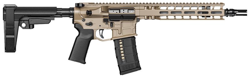 Radian Weapons Model 1 223 Wylde