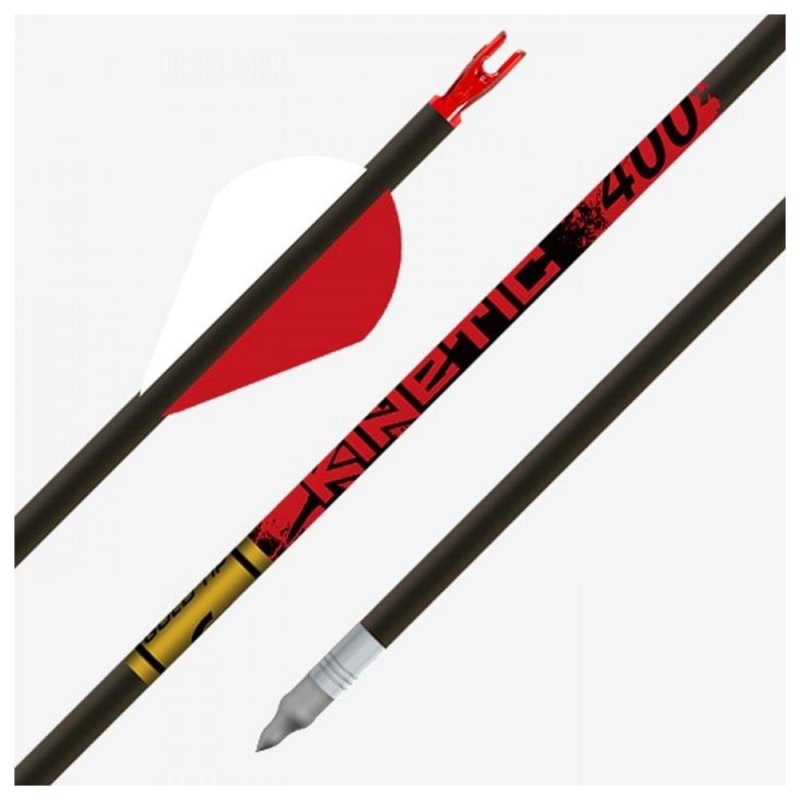 Gold Tip Kinetic KIN340A26 2in Raptor Vanes 1/2dz High-Quality Plastic