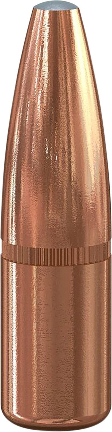 Speer Grand Slam 180Gr .308 Caliber Rifle Bullet - Precision Drawn Jacket, Exceptional Accuracy