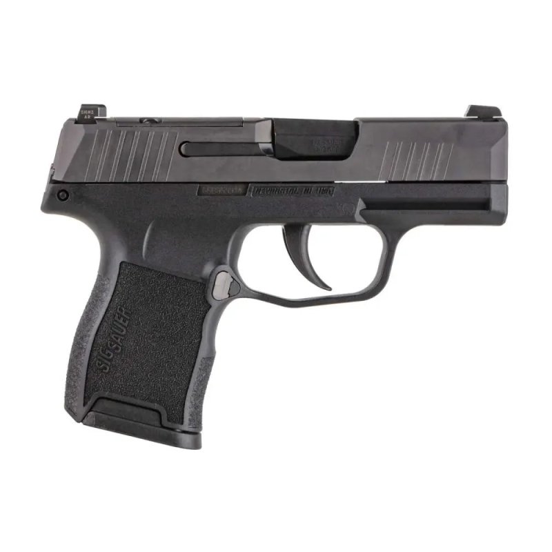 Sig Sauer P365-380 Micro-Compact .380 ACP Pistol