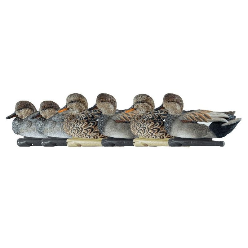 AvianX AVX8085 Top Flight Duck Decoys Gadwall 6-Pack, Realistic Design