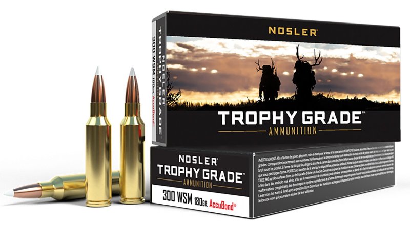 Nosler 60063 Trophy Grade Hunting 300 WSM 180 gr AccuBond 20 Per Box/ 10 Cs