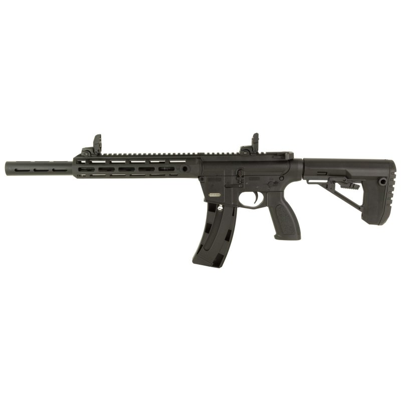 Retay USA RA15-22 .22 LR RA1522BLKPMLOK10