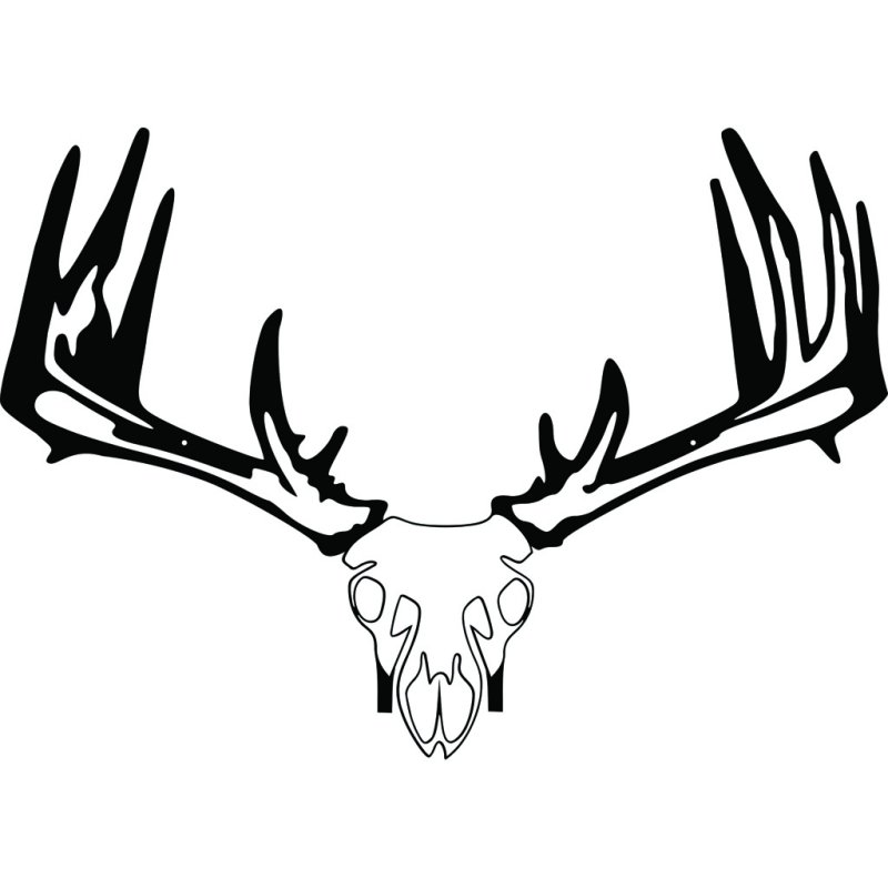 Raxx 855809007152 Crossbow Hanger Whitetail Skull, Carbon Steel, 30"x20"