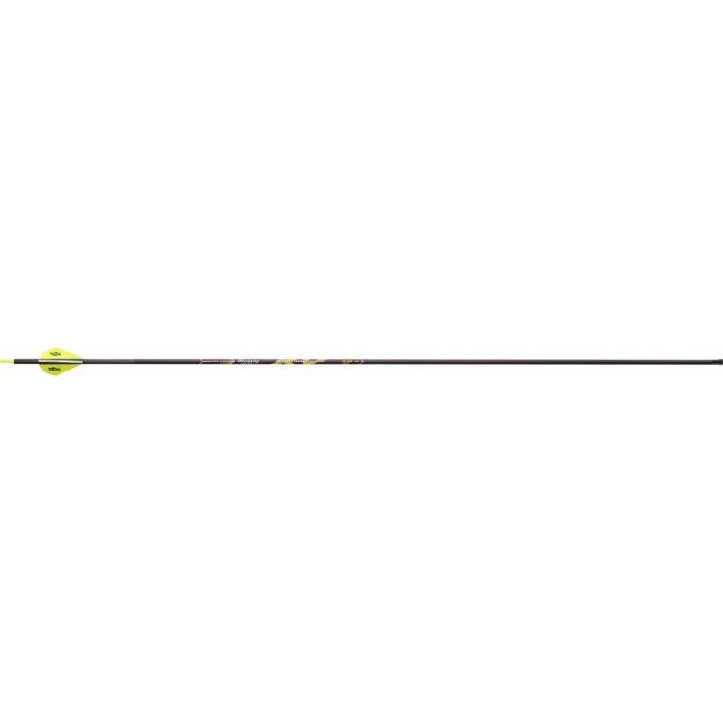 Victory RIPXVEB-250FB-6 Arrows 250 2" Vanes 6pk, ICE Coating, AAE Nocks
