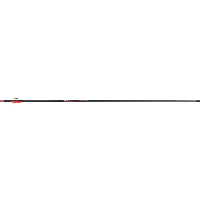 Victory RIPAS-300FQ-6 Arrows 300 2" Vanes 6pk, ICE Coating, AAE Nocks