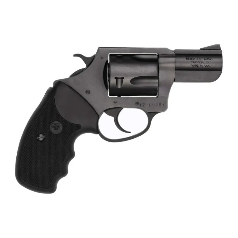 CHARTER ARMS 13520 357 Magnum/38 Special 2.20 In 5 Shot