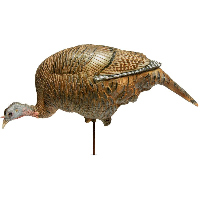 Dave Smith Decoys 689076288491 Feeding Hen Decoy, Lightweight & Durable