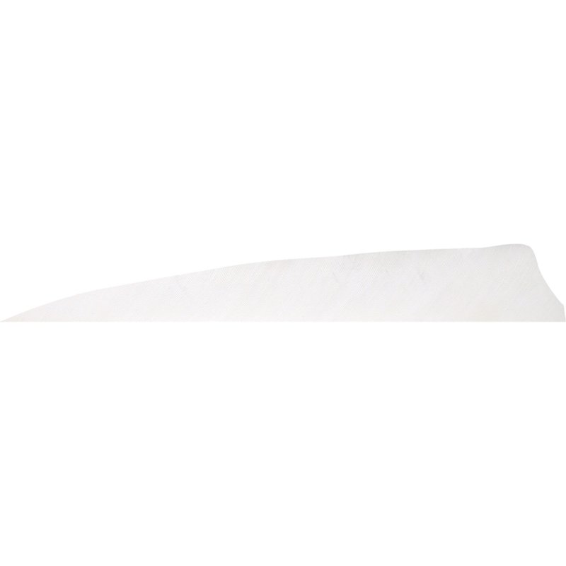Gateway 400RSSFW-50 Shield Cut Feathers Flo White 4in RW 50pk