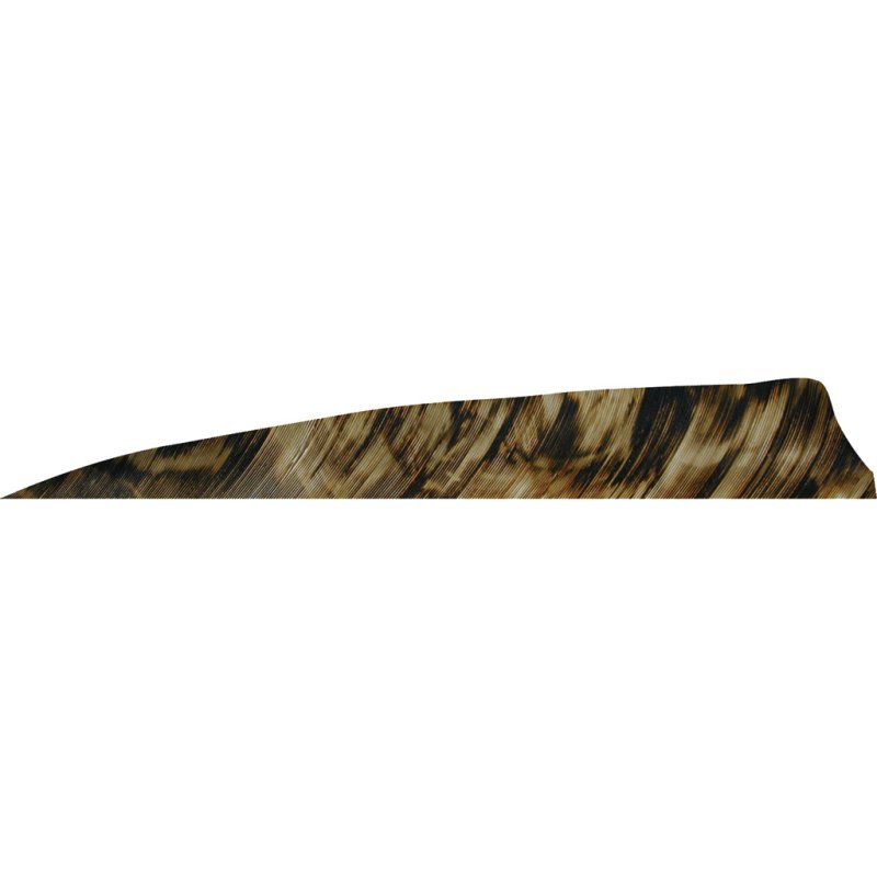 Gateway Shield Cut Feathers Tre Brown 4in RW 50pk 2.76gr
