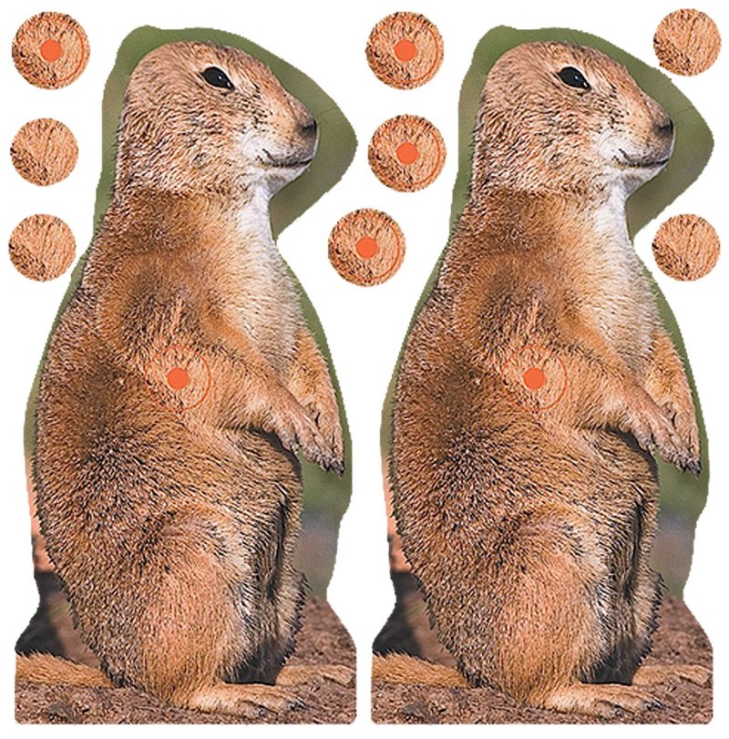 Birchwood Casey 34786 Prairie Chuck 8 in Self-Adhesive Target 12 Pack