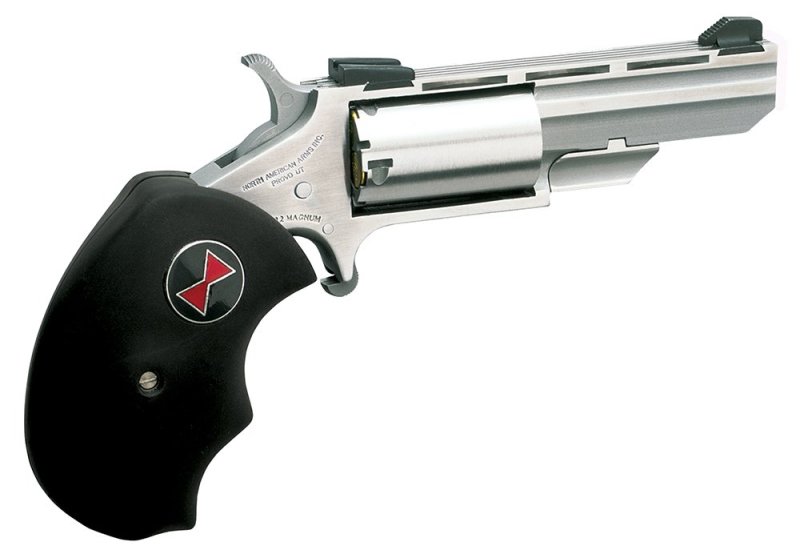 NAA Black Widow 22 LR