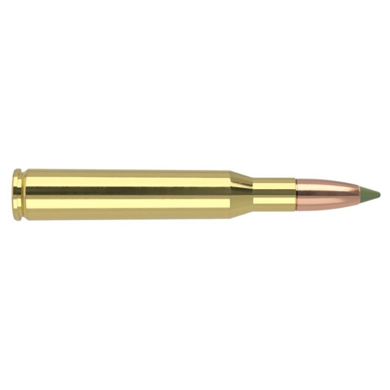 Nosler 40031: 130 Grain E-Tip .270 Winchester Brass Cased Ammunition, 20 Rounds, Lead-Free, Superior Penetration