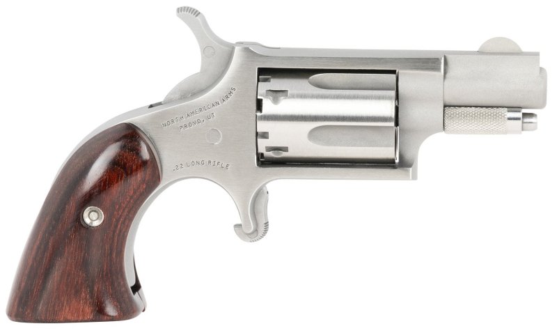 NAA 22LRGBG Mini-Revolver Sports South Exclusive 2 LR 5...