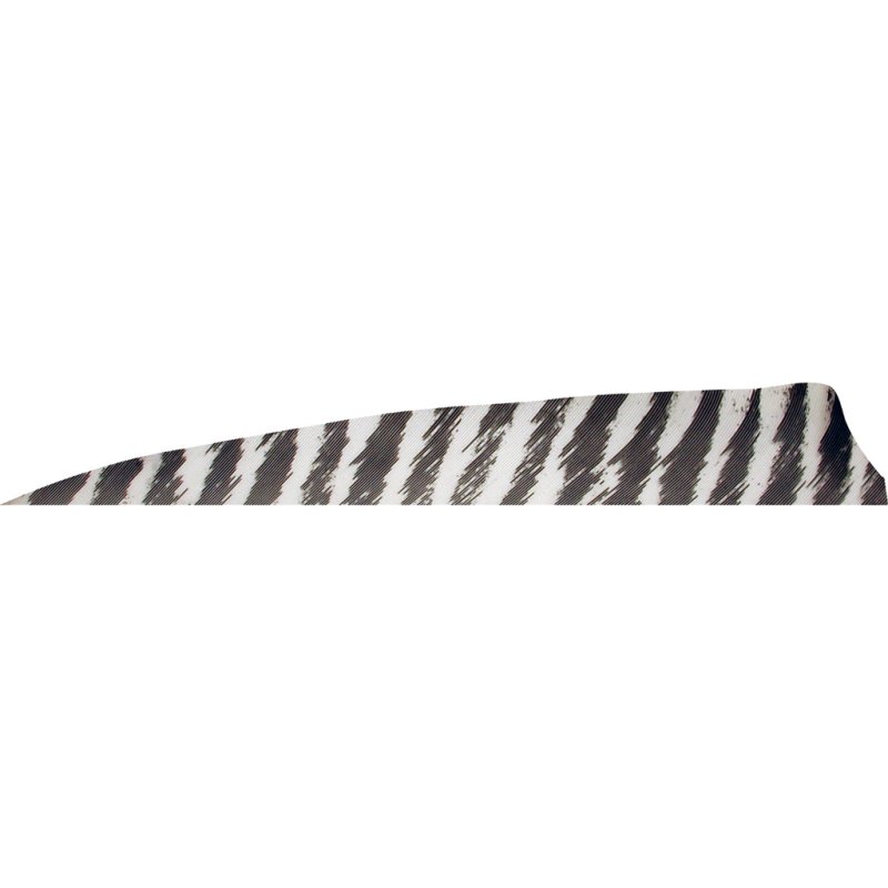 Gateway 400RSBWH-50 Shield Cut Feathers Barred White 4in RW 50pk
