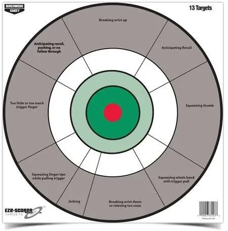 Birchwood Casey EZE-Scorer 12" Handgun Trainer Target 13/pack 37245