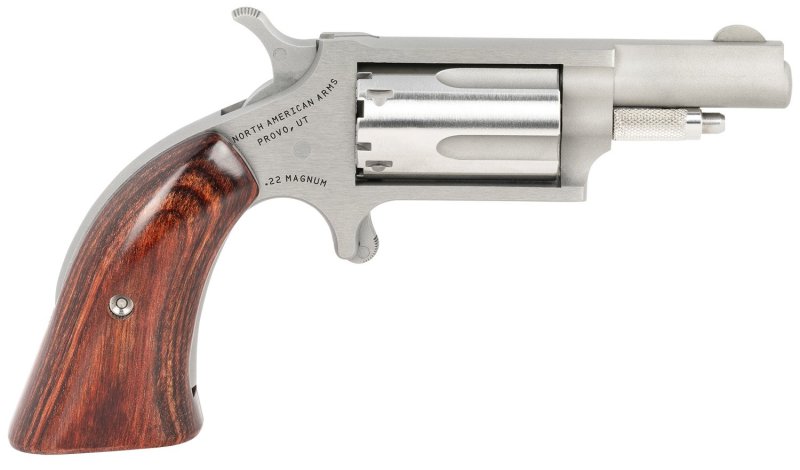 NAA Mini-Revolver 22 WMR