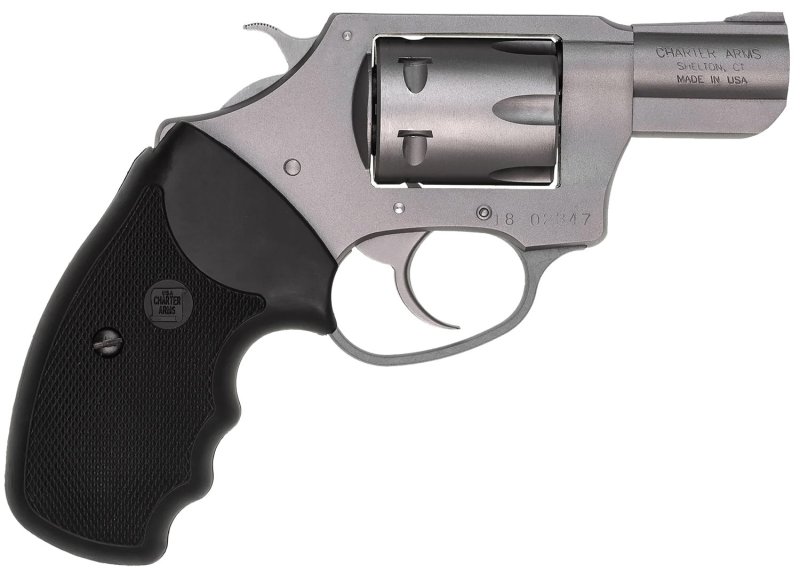 Charter Arms 72324 .22 Winchester Magnum 2 In 6-Shot Stainless
