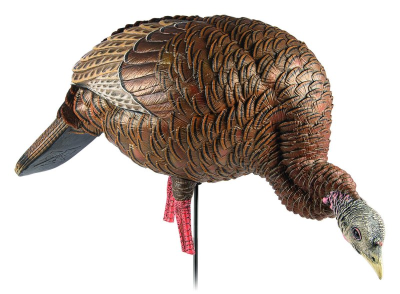 Avian-X HDR Feeder Hen Turkey Decoy Multi-Color AVXAVX8107