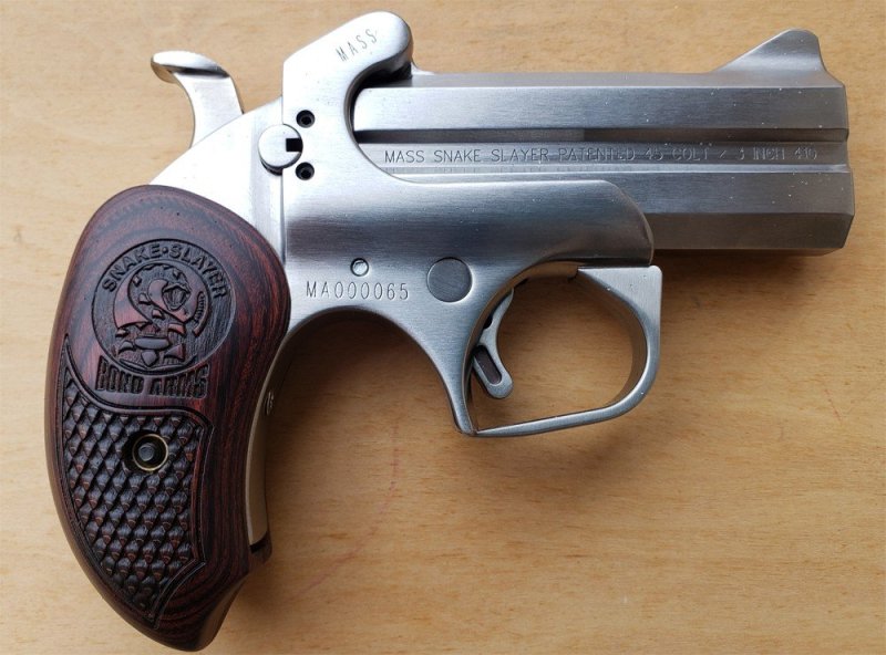 Bond Arms Snake Slayer 45LC/410 MASS