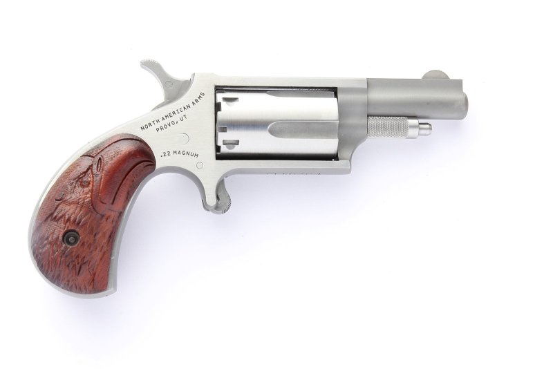 NAA NAA-22MC-BWGE Mini-Revolver 22 LR/22 Mag 1.625" Stainless