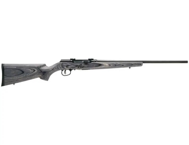 Savage Arms A17 Sporter 17 WSM 47801