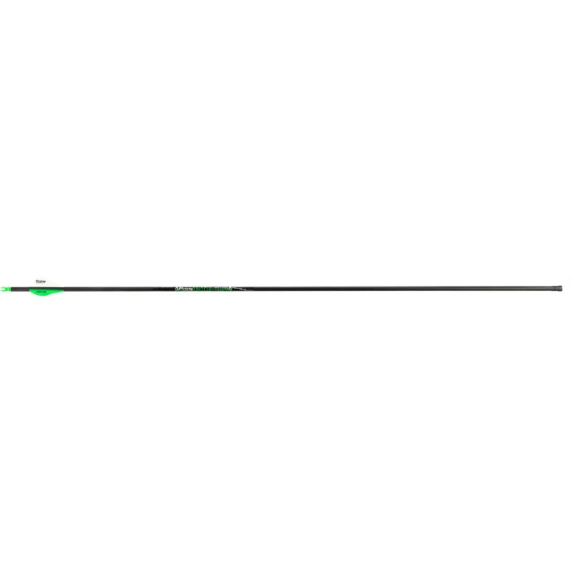 Victory RIPAG-300FB-6 Arrows 300 2" Vanes 6pk, ICE Coating, SHOK Inserts
