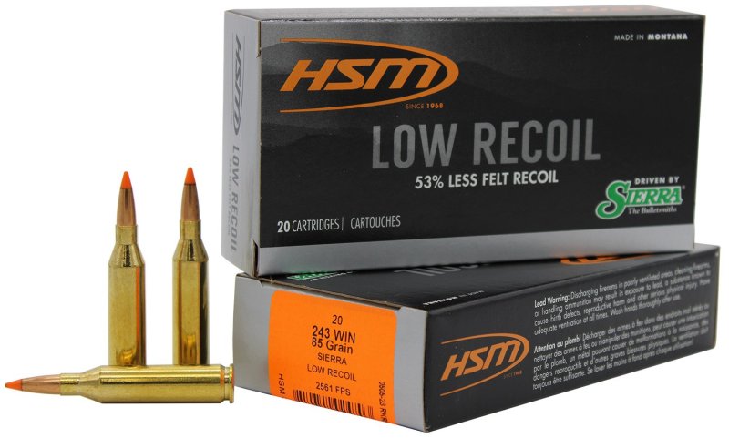 HSM Ammunition 24318N 243 Win 85gr Orange Polymer Tip 20/Box
