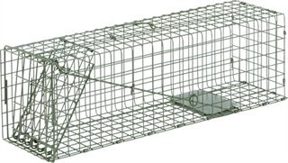 Duke Manufacturing Co. Cage Trap No. 2 24 In Galvanized Steel