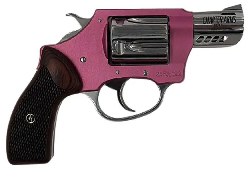 Charter Arms 53805 380 ACP