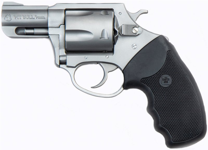 Charter Arms Pit Bull 9mm 2.2 In Matte Stainless 6-Rounds