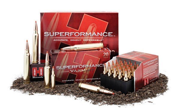 Hornady Superformance .243 Winchester 58gr V-MAX 20 Rounds