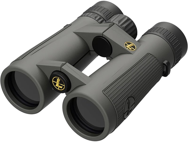Leupold BX-5 Santiam HD 8x42mm Binocular Shadow Gray