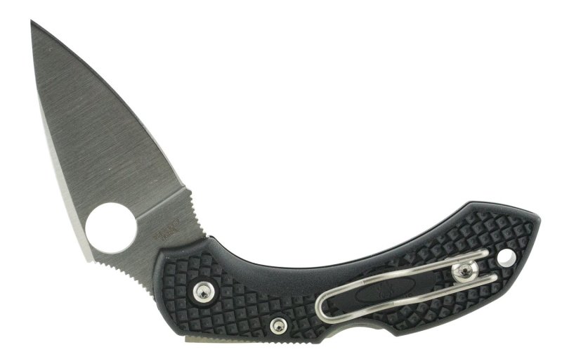 Spyderco Dragonfly 2 Lightweight 2.3in VG-10 Blade, Black FRN Handle Folding Knife