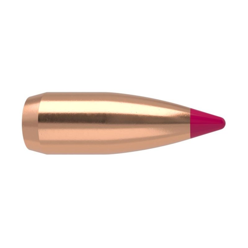 Nosler Ballistic Tip Varmint .204 Caliber 32 GR 250 Count 39573