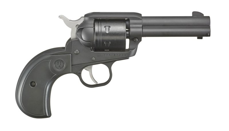 Ruger Wrangler 22 LR (3.75)
