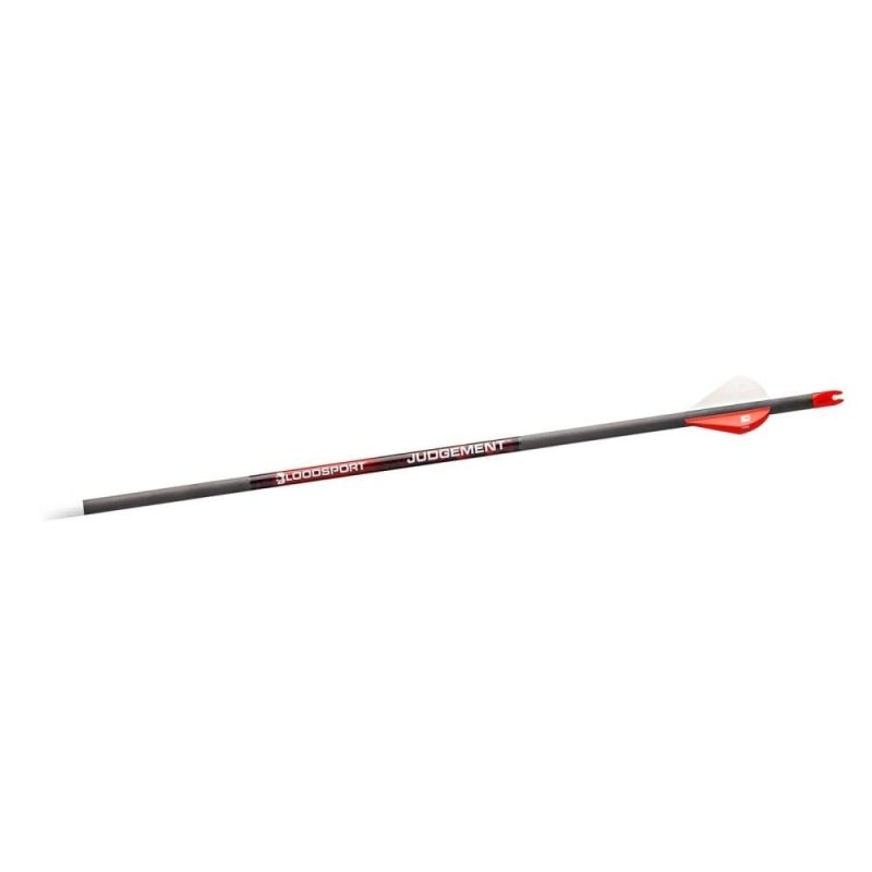 Bloodsport Judgement Arrow 350 Spine 6 Pack