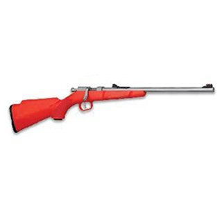 Henry Repeating Arms Mini Bolt Youth 22 LR H005S