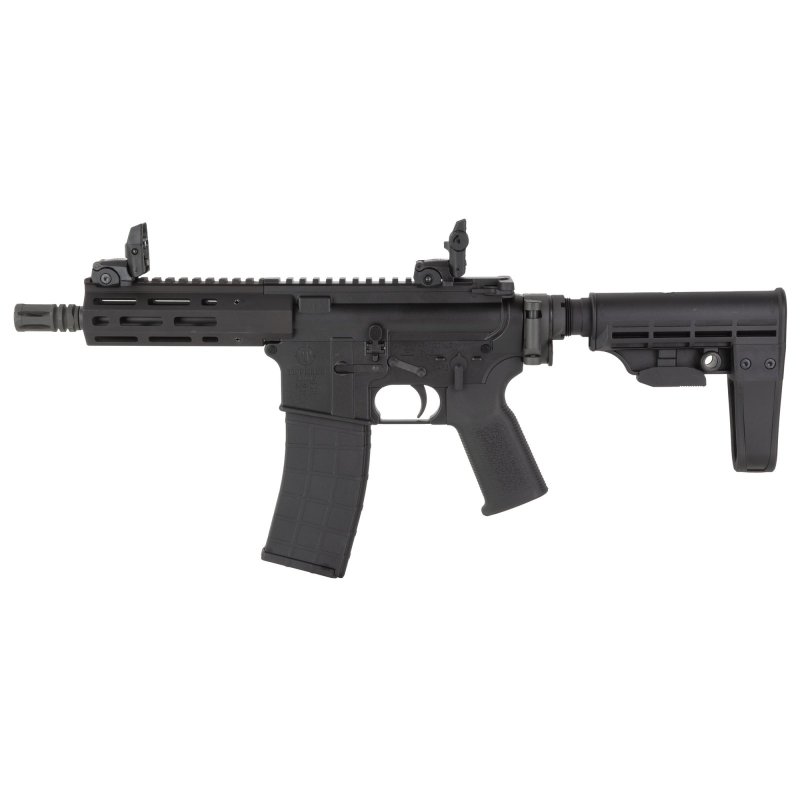 Tippmann A101124 .22 LR