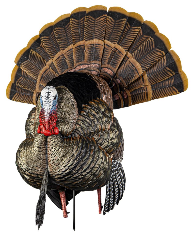 Avian-X HDR Strutter Turkey Species Multi Color AVXAVX8108