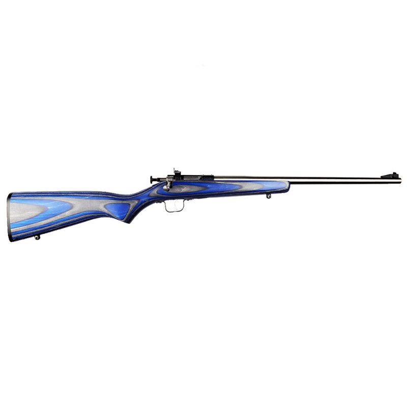 Keystone Sporting Arms Crickett 22 LR KSA2223