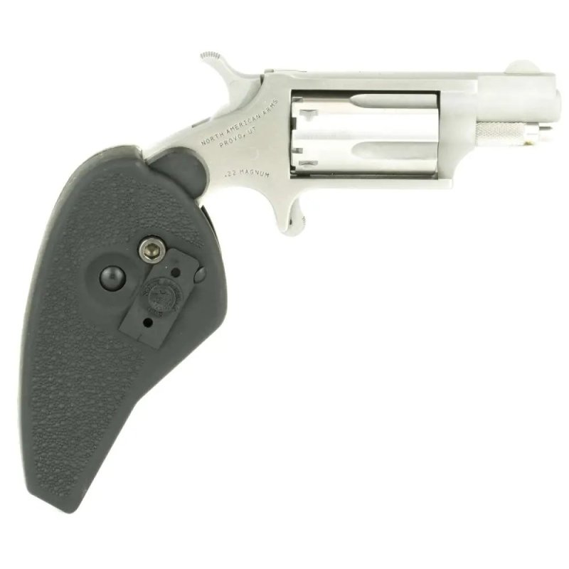 NAA Mini-Revolver 22 LR 22 Mag NAA22MSCHG
