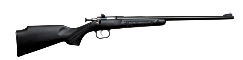 Keystone Sporting Arms Crickett 22 WMR KSA2280