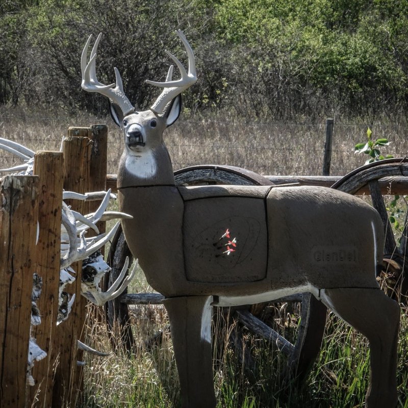 GlenDel G73000 Pre-Rut Buck Target, Polyfusion Tech, 36" Shoulder Height