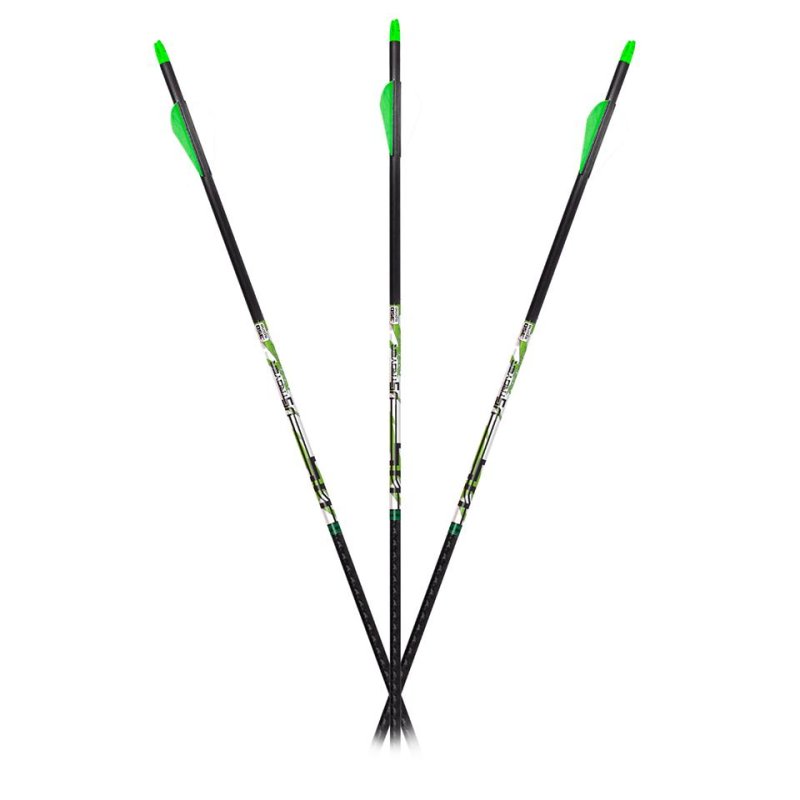 Carbon Express D-Stroyer Piledriver Arrows 400 6 pk.